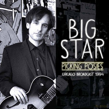 Big Star: Picking Posies [CD]