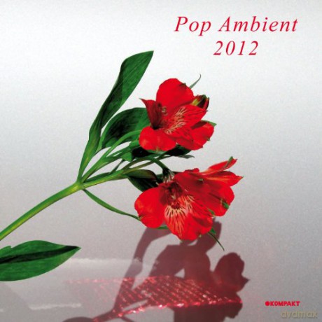 Pop Ambient 2012 [CD]