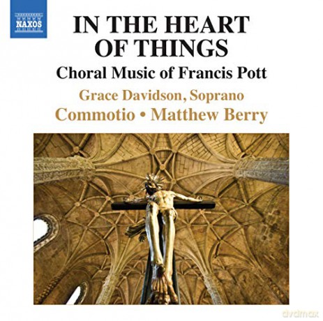 Davidsoncommotioberry: Pottin The Heart Of Things [CD]
