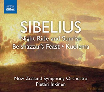 Nzsoinkinen: Sibeliusnight Ride Sunrise [CD]