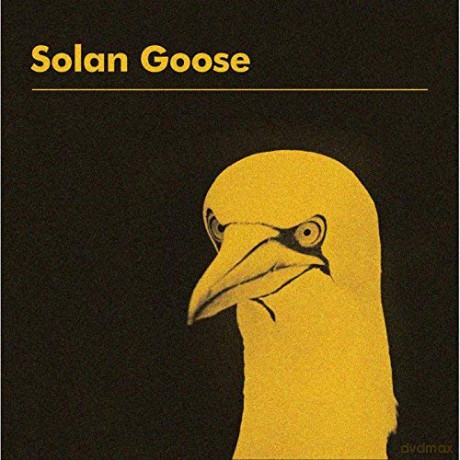 Erland Cooper: Solan Goose [Winyl]