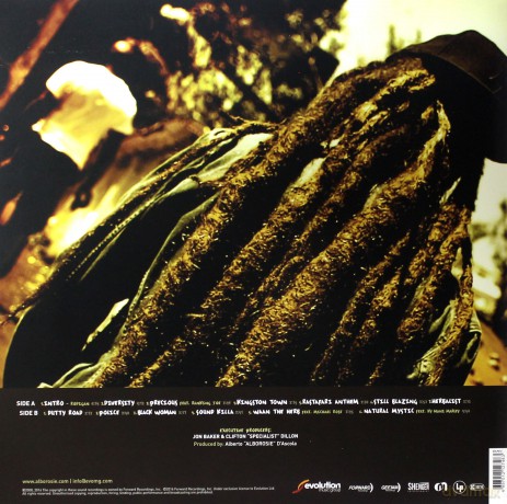 Alborosie: Soul Pirate [Winyl]