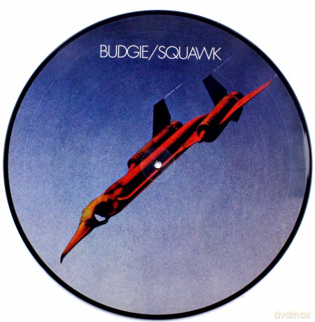Budgie: Squawk (Picture) [Winyl]