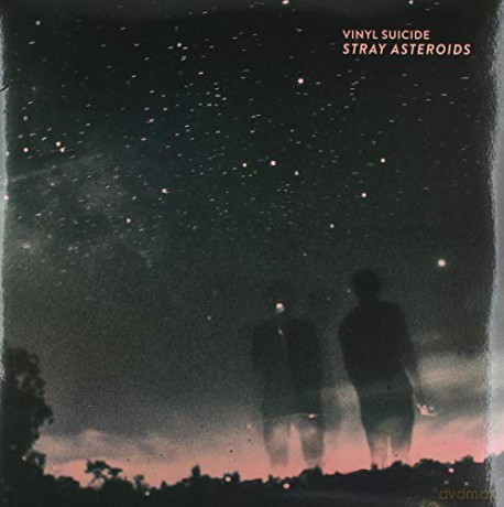 Vinyl Suicide: Stray Asteroids [Winyl]