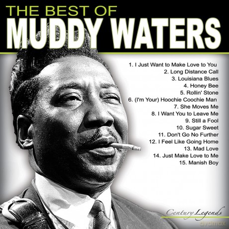 Muddy Waters: The Best Of Muddy Waters [CD]