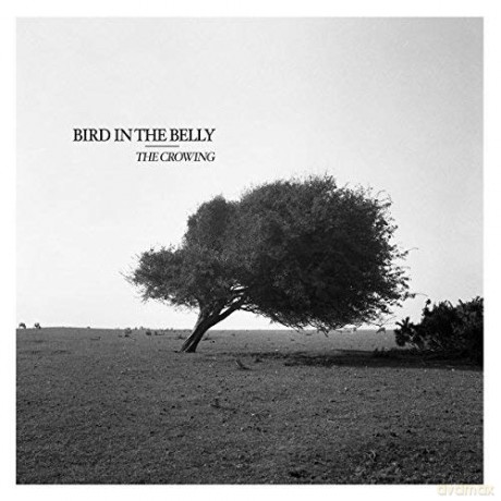Bird In The Belly: The Crowing [CD]