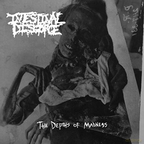 Intestinal Disgorge: The Depths Of Madness [CD]
