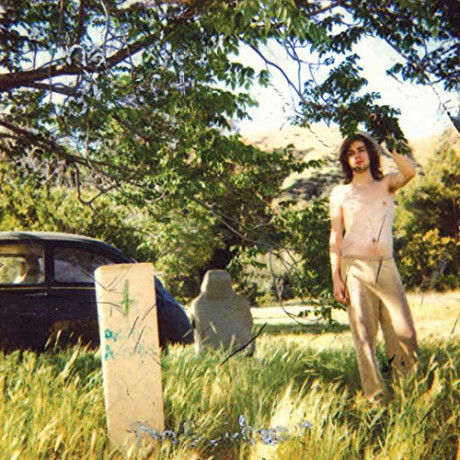 Ariel Pink: The Doldrums [2xWinyl]