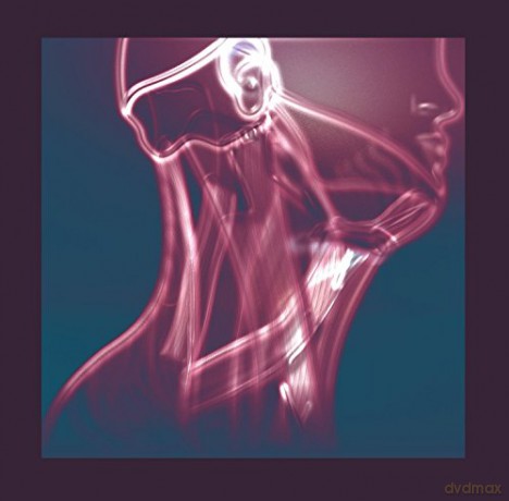 Tales Of Murder And Dust: The Flow In Between [CD]