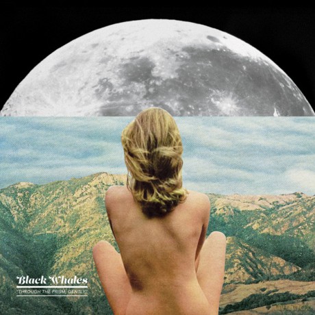 Black Whales: Through The Prism Gently [CD]