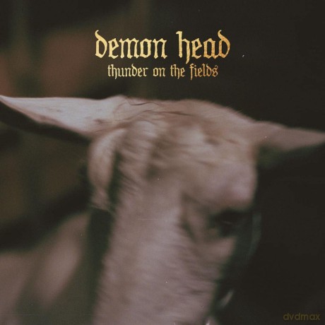 Demon Head: Thunder On The Fields [CD]