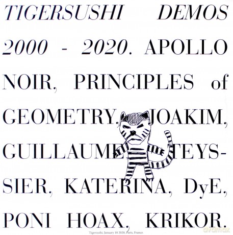 Tigersushi Demos 2000-2020 [Winyl]