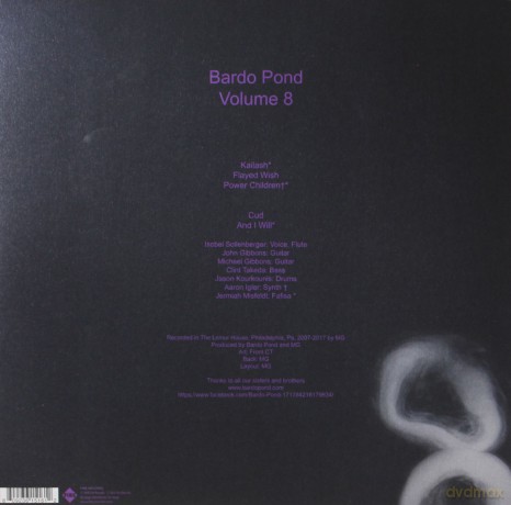 Bardo Pond: Volume 8 [Winyl]