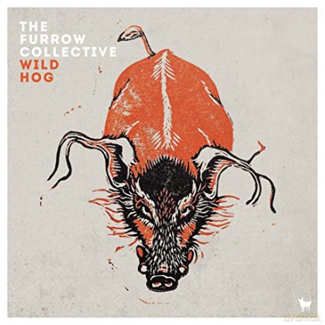 Furrow Collective: Wild Hog [CD]