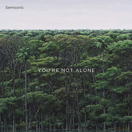 Semisonic: Youre Not Alone [CD]