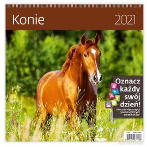 Kalendarz 2021 30x30 Konie [KALENDARZ]