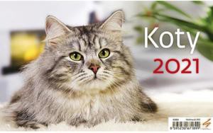 Kalendarz 2021 biurkowy Koty [KALENDARZ]