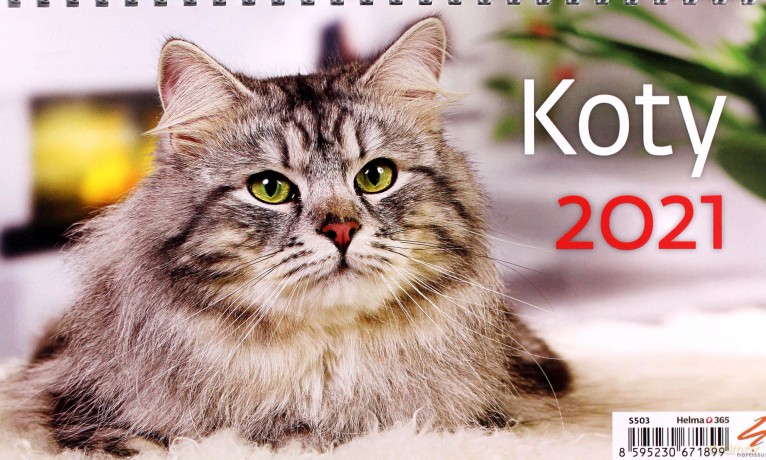 Kalendarz 2021 biurkowy Koty [KALENDARZ]