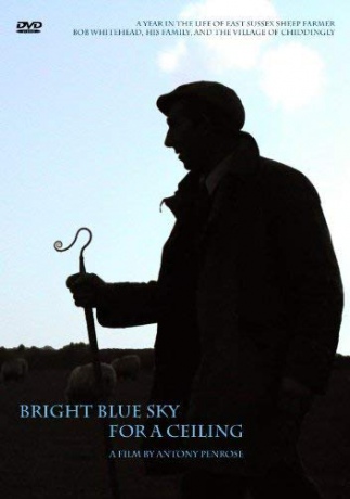 A Bright Blue Sky For A Ceiling [DVD]