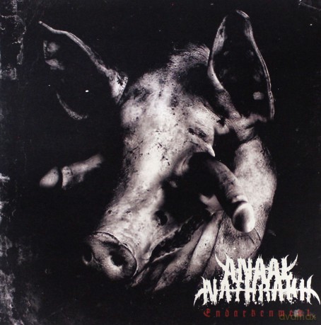 Anaal Nathrakh: Endarkenment (Clear Grey) [Winyl]