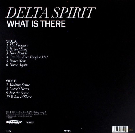 Delta Spirit: What Is There [Winyl]