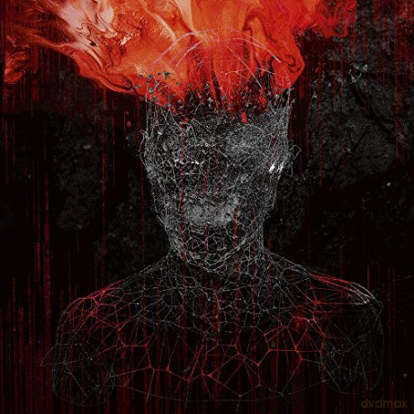 Mygrain: V [CD]