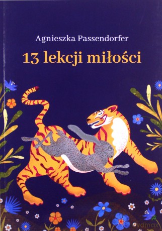 13 lekcji miłości - Agnieszka Passendorfer [KSIĄŻKA]