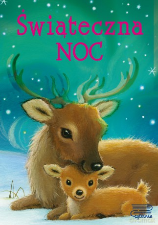 Świąteczna noc [KSIĄŻKA]
