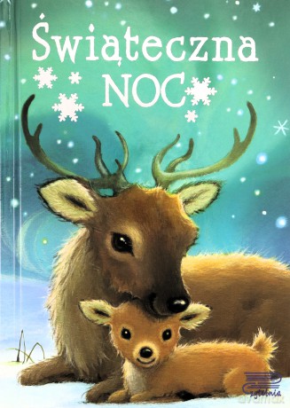 Świąteczna noc [KSIĄŻKA]