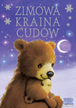 Zimowa kraina cudów [KSIĄŻKA]