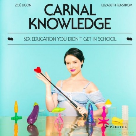 Carnal Knowledge: Sex Education You Didn't Get in School - Elizabeth Renstrom [KSIĄŻKA]
