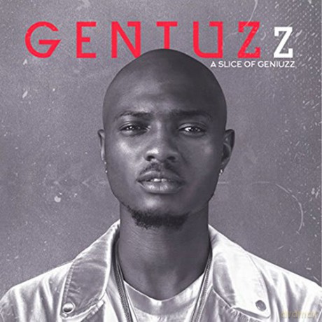 Geniuzz: A Slice Of Geniuzz [CD]