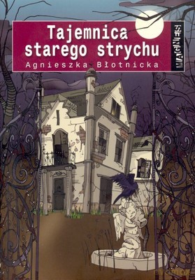 Magnes Tajemnica Starego Strychu - Agnieszka Błotnicka [KSIĄŻKA]