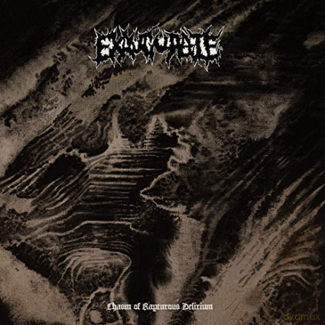 Exaugurate: Chasm Of Rapturous Delirium [Winyl]