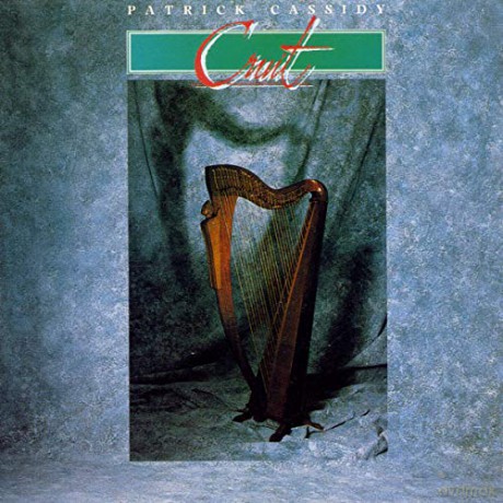 Patrick Cassidy: Cruit [CD]