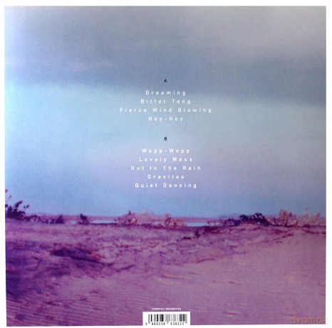 Michael Rother: Dreaming [Winyl]