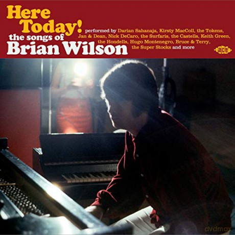 Here Today! The Songs Of Brian Wilson [CD]