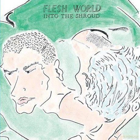 Flesh World: Into The Shroud [Winyl]