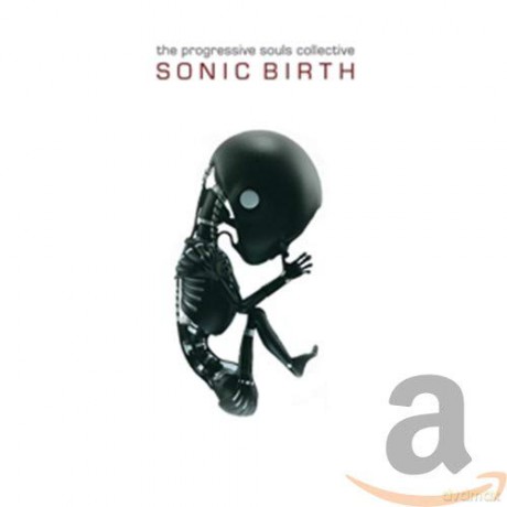 The Progressive Souls Collective: Sonic Birth (digipack) [CD]