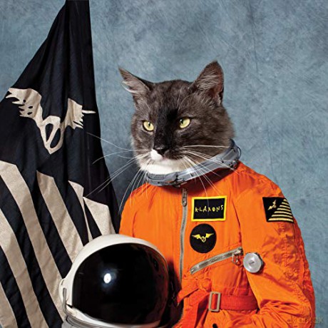 Klaxons: Surfing The Void (Orange) RSD 2020 [2xWinyl]