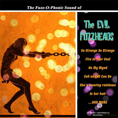 Evil Fuzzheads: The Fuzz-O-Phonic Sound Of [Winyl]