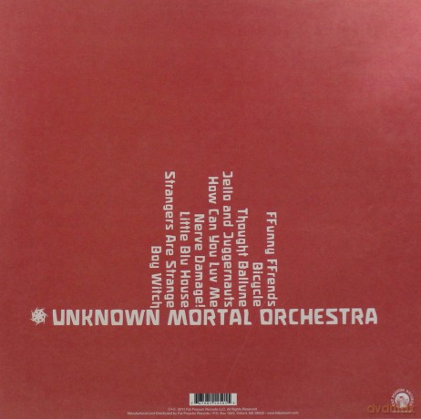 Unknown Mortal Orchestra: Unknown Mortal Orchestra [Winyl]