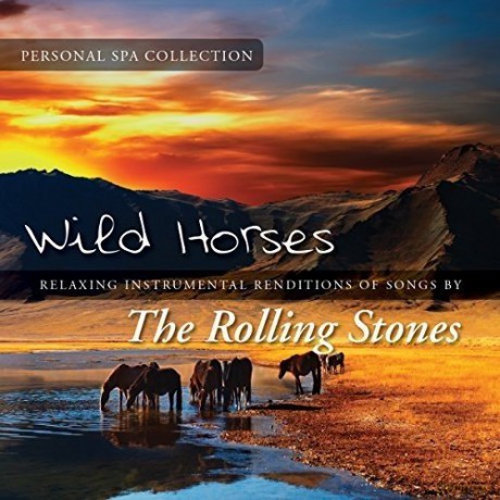 Judson Mancebo: Wild Horses [CD]
