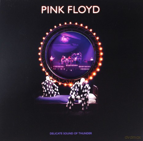 Pink Floyd: Delicate Sound Of Thunder [3xWinyl]