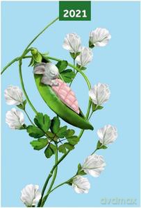 Kalendarz 2021 A6 tygodniowy Pea Pods [KALENDARZ]