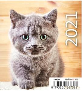 Kalendarz 2021 biurkowy mini Kotki [KALENDARZ]