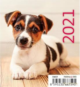 Kalendarz 2021 biurkowy mini Pieski [KALENDARZ]