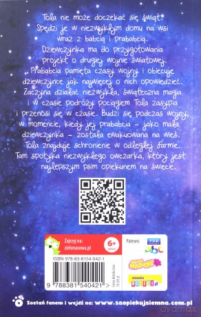 Zaopiekuj się mną. Najlepszy opiekun - Holly Webb [KSIĄŻKA]