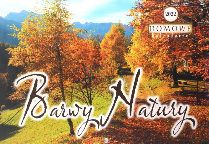 Terminarz 2021 Domowy MiP Barwy Natury [KALENDARZ]