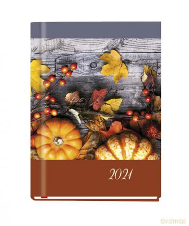 Terminarz 2021 Ola MiP 06 [KALENDARZ]